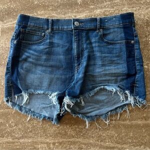 Shortie Highrise Shorts
